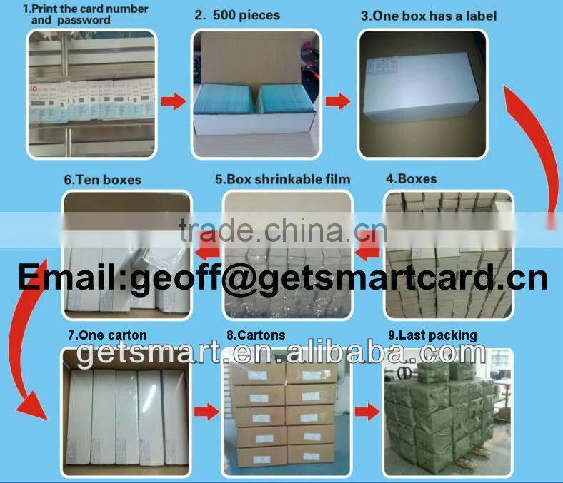 Business Card/PVC Business Card/Plastic Business Card/ Clear Business Card