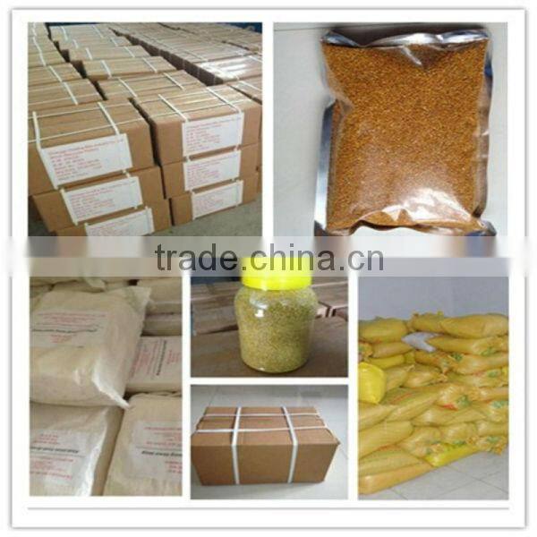 beekeeping factory wholesale new fresh natural rape bee pollen