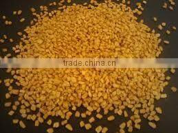 FENUGREEK SEEDS INDIAN METHI DANA