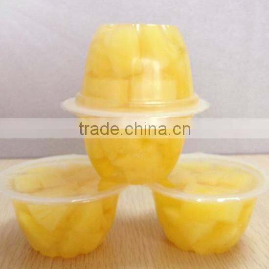 Mixed Fruit Salad in Light Syrup