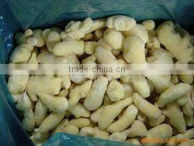 10*10mm iqf diced ginger