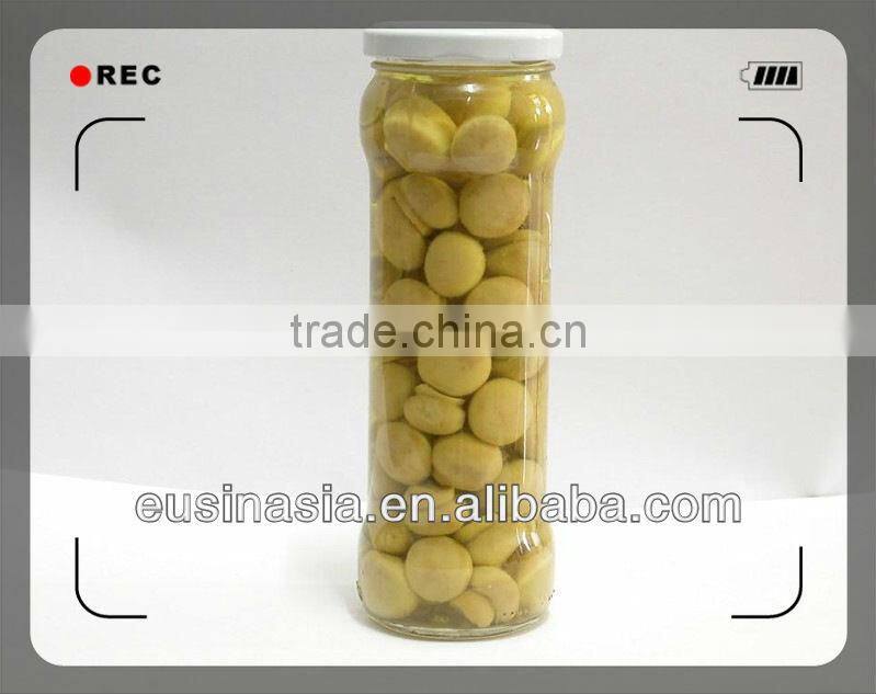 top quality seasoning canned champignon
