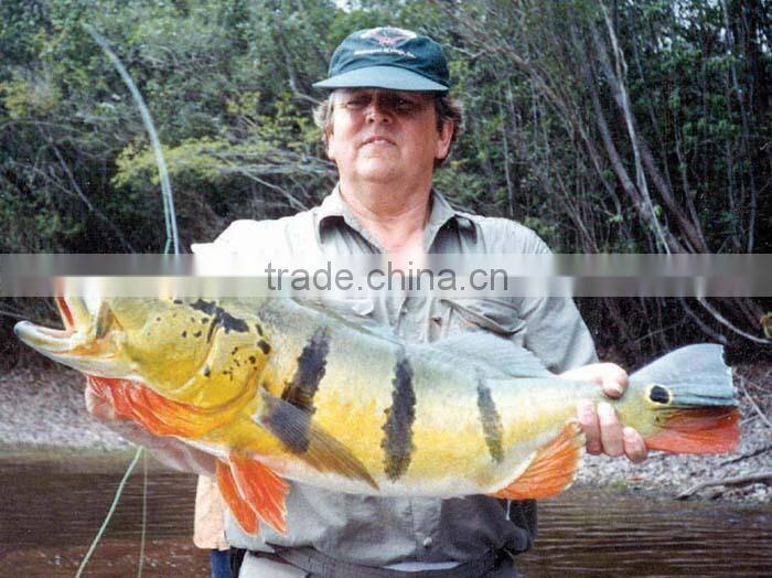 fish landing nets,fishing nets on sale