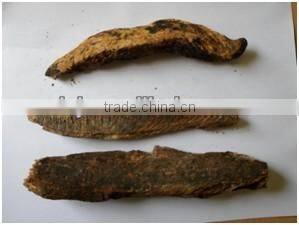 Maldives Dry Fish Cutter