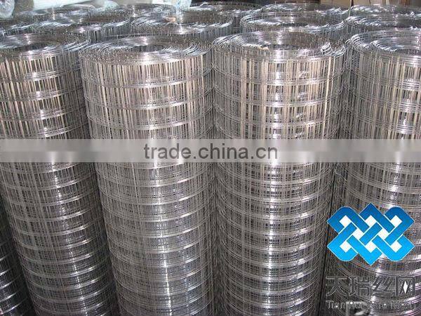 Anping welded wire mesh (Hot sale)