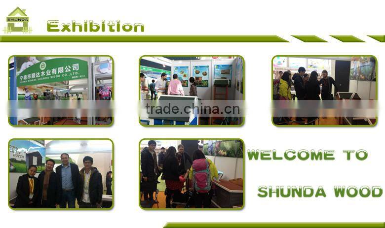 SDC11 Large cheap chicken houses