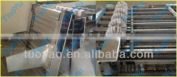 China made stainless steel eggs sheller/ shelling machine price SMS: 0086-15937167907