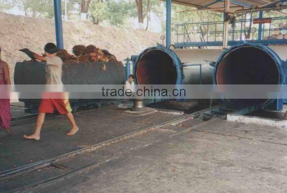 Hot sale palm oil press machinery made in China