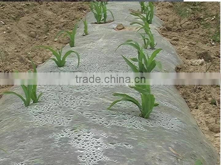 20mic transparent color Plastic Agricultural Mulch Film