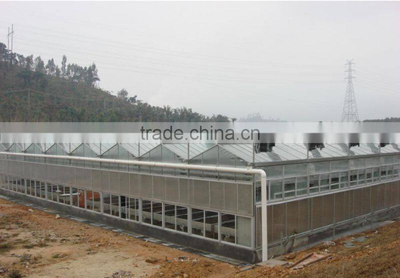 Commercial drip irrigation glass greenhouses with top quality