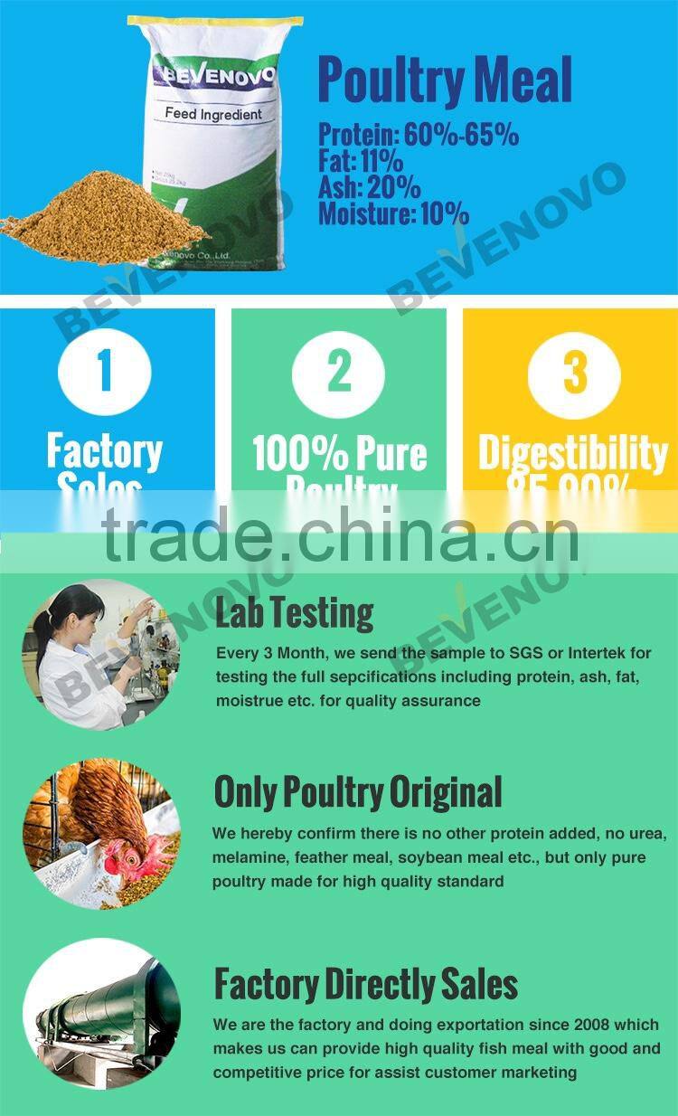 100% Meat And Bone Meal Specification 60% Protein