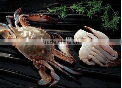 whole round blue swimming crab
