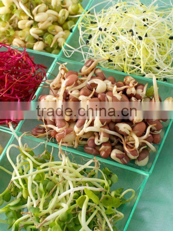 Automatic bean sprout machine/CE Certificate
