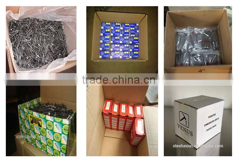 iron nail/iron nail supplies