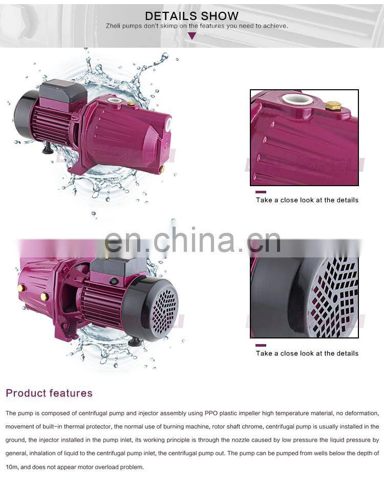 100% copper wire brass impeller high lifting clean Jet Type tanzania water pump