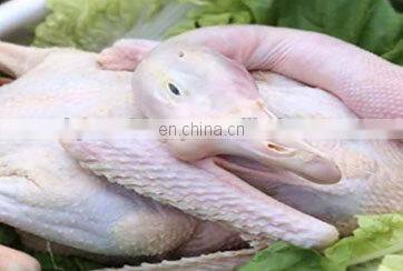 poultry plucking feathers machine/chicken feathers cleaning machine/duck feathers plucking machine