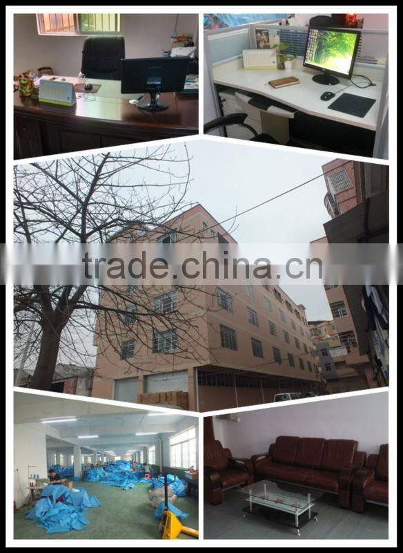 Customized 0.9mm pvc giant inflatable ball inside inflatable water walking balls