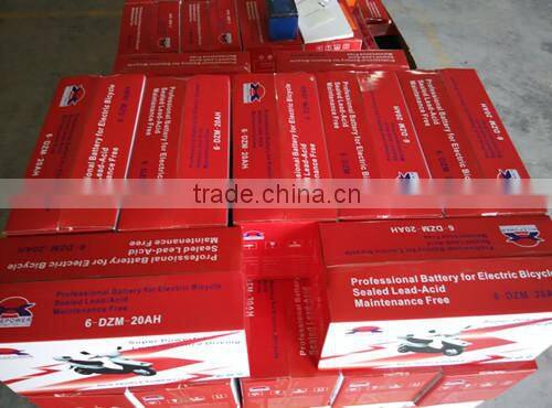maintenance free 6-DZM-20 lead acid battery 12v 20ah Nice Power brand