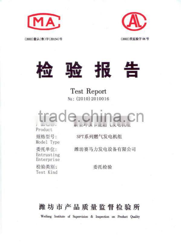 CE Approved industrial gas genset for sale!