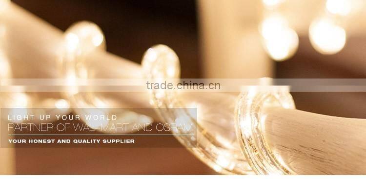 220V/120V 50 Meter Blue LED Rope Light