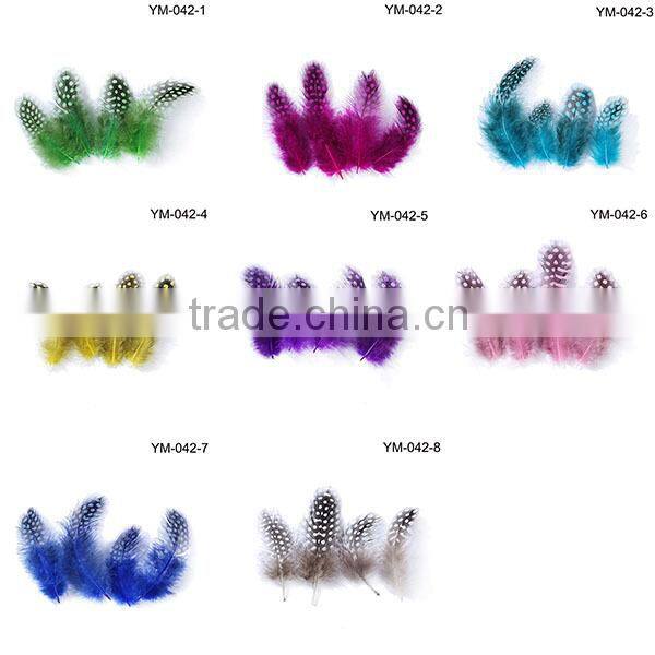 wholesale cheap guinea fowl feathers,Dyed guinea hen plumage feathers