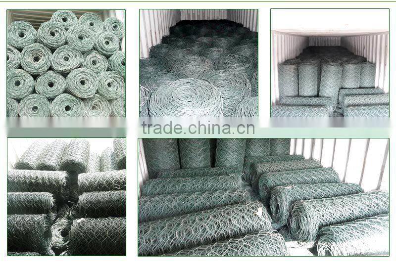 hexagonal wire mesh galvanized(lowest price)