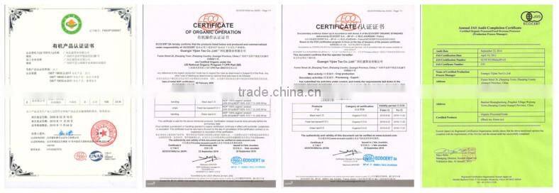 Quality guaranteed fresh Green Tea leaves organic/green tea bags bulk