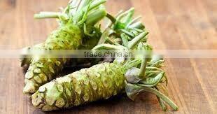 hot sale mazuma raw wasabi paste