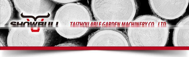 Mini 2-stroke gasoline chainsaw 4010 with recoil starter