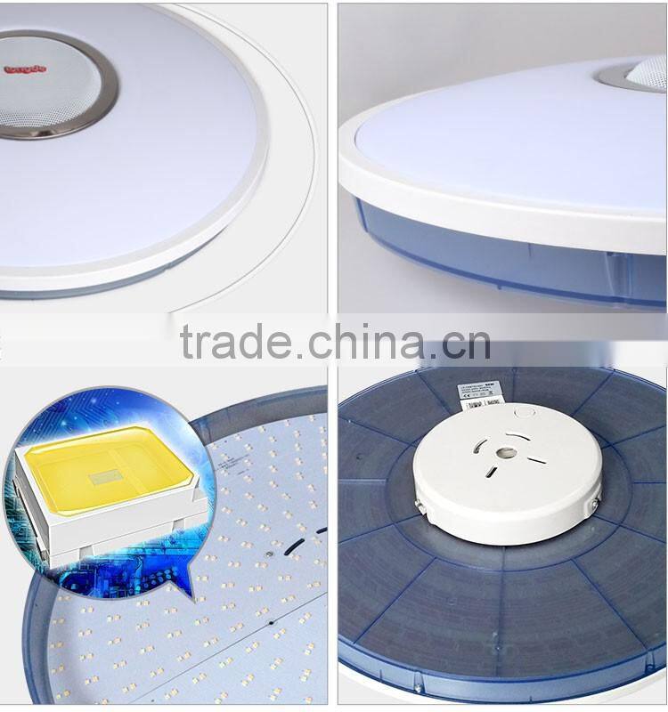 Bluetooth Speaker Dimmable CCT Changing RGB 40W Starry Sky Round LED Ceiling Lamp with APP