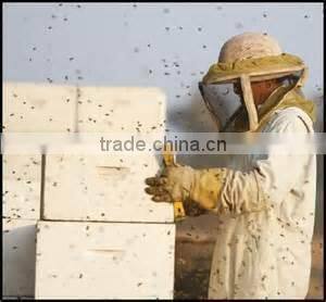 Promotion! Hot sale bee glove for beekeeping materials from chinese wholesale