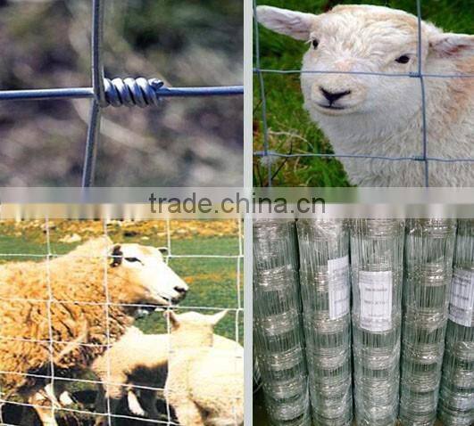 High Tensile Galvanized Cattle Horse Mesh Fence