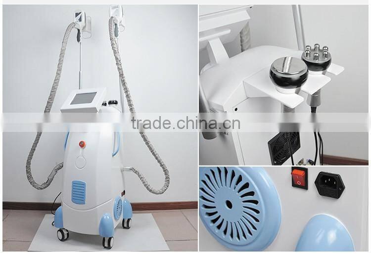2020 Fat freezing Slimming Vertical weight loss machine with 2 handles For Spa Use