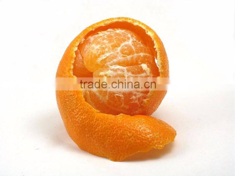 Citrus fresh mandarin orange with sour taste and moisture rich