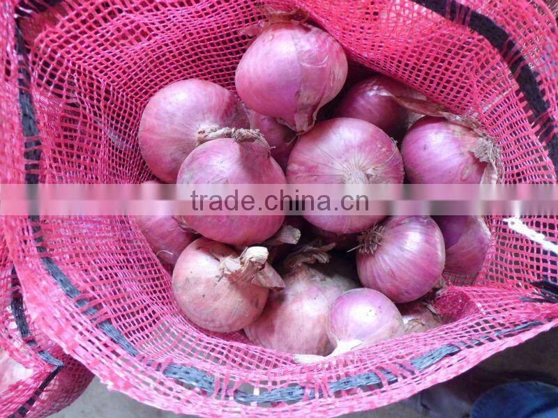 new red onions on promotion now