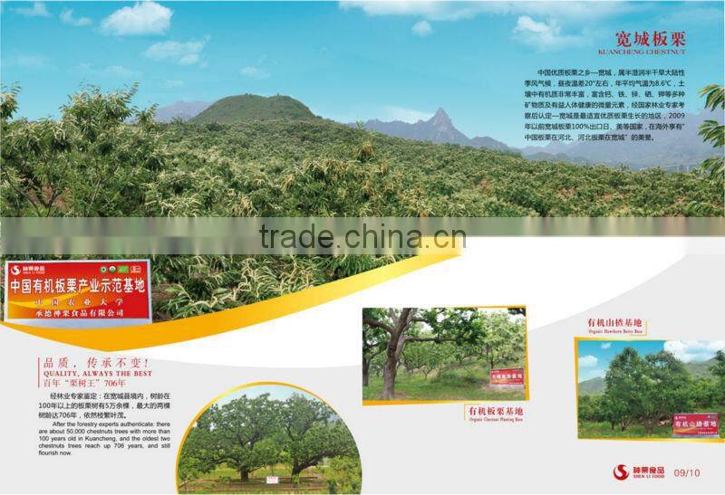2015 Best fresh wholesale chestnut