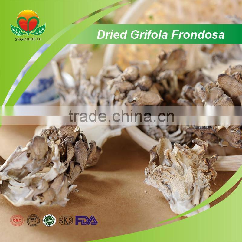 Most Popular Dried Grifola Frondosa
