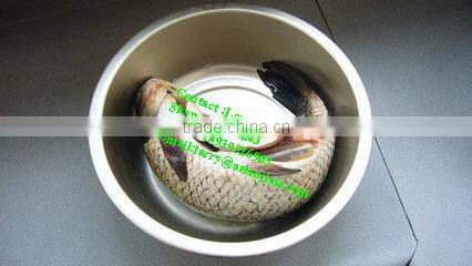 fish killing machine/fish killing scaling machine/fish kill machine