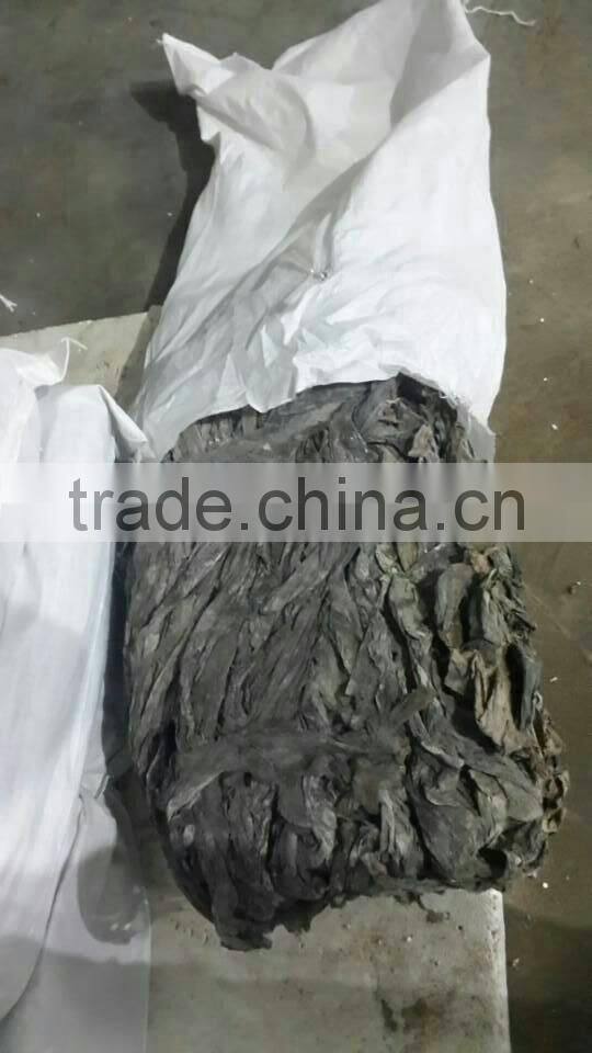 Feed Grade Kelp/Laminaria abalone fodder