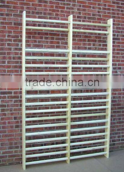 Gymnastics wall bars