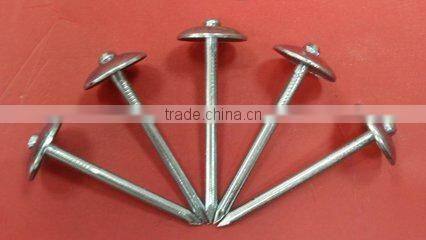 3" Umbrella Roofing Nails/construction roofing nails and building material nails