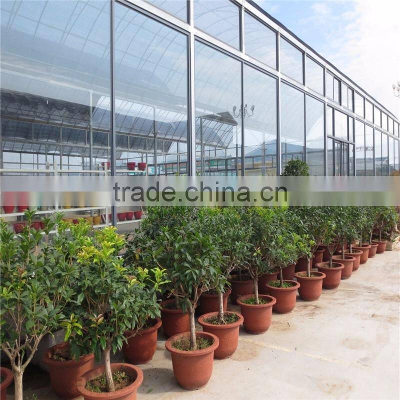 Chosen Greenhouse Project mushroom used commercial greenhouses