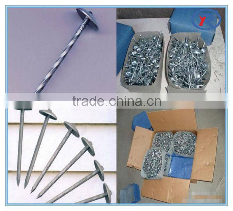 Cheaper and good quality umbrella corrugated Galvanized Roofing Nails