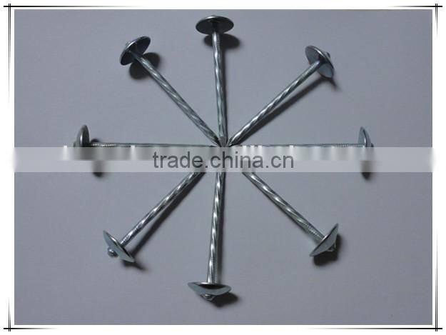 1"*11G Galvanized Umbrella Head Plain and Ring Shank Roofing Nail (factory)