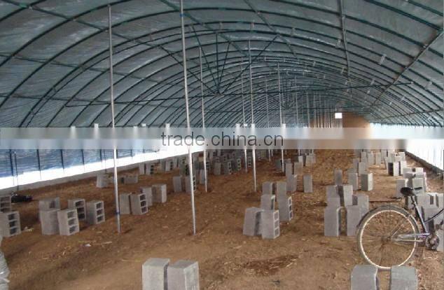 200mic, single span PE greenhouse film for Poultry cultivation