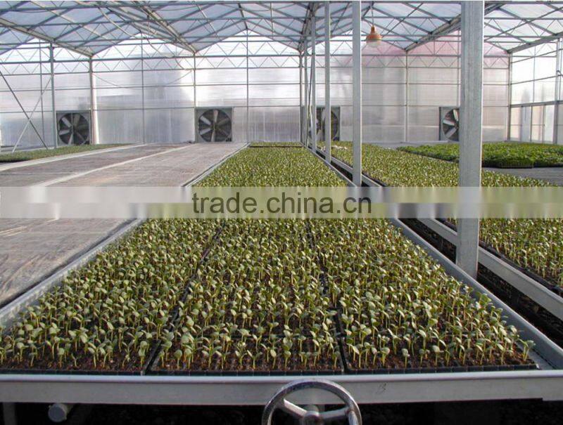 XinHe Grow seedlings bed system