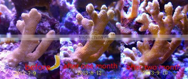 108w SPS lps grow well Aquarium widely use aquarium led lighting coral