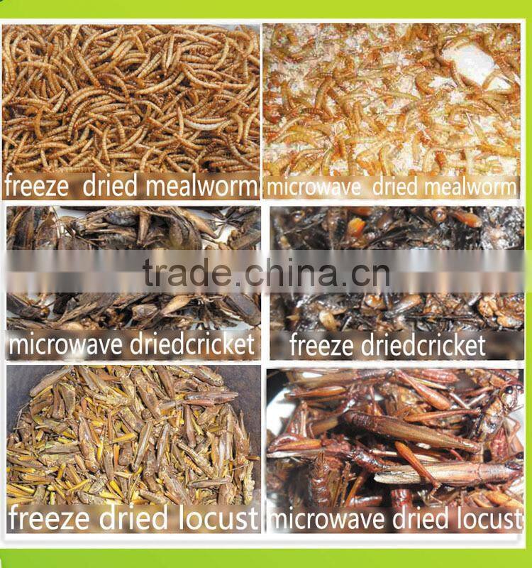 Animal feed supplies Microwave dried locusts dog fish treats