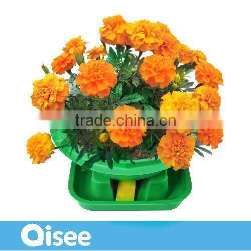 automatical water supplying indoor plants growing kits green globe