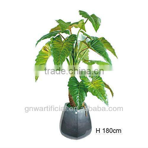 G50 GNW Artificial plants indoor office